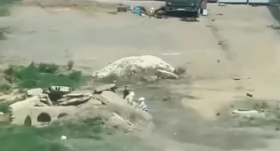 Малыши сбежали из детсада в Нур-Султане. Воспитателя привлекут к ответственности