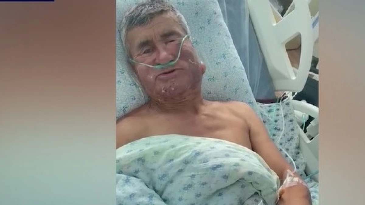 кадр из видео