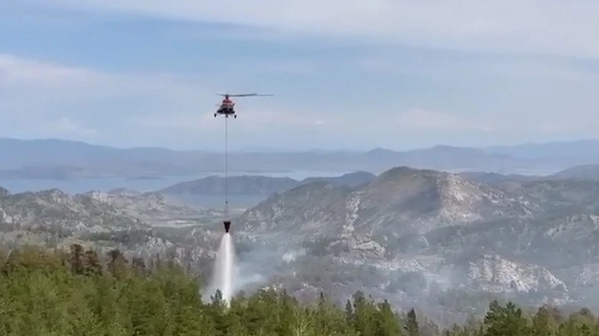 скриншот с видео