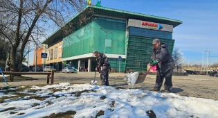 Бизнес за чистоту: ТЦ Алматы присоединились к экологической инициативе